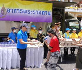 พระบาทสมเด็จพระเจ้าอยู่หัว ... พารามิเตอร์รูปภาพ 16