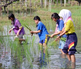 มูลนิธิราชประชานุเคราะห์ฯ ... พารามิเตอร์รูปภาพ 6