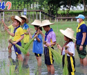 มูลนิธิราชประชานุเคราะห์ฯ ... พารามิเตอร์รูปภาพ 4