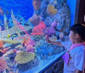 พลเรือเอก พงษ์เทพ หนูเทพ องคมนตรี ประธานกรรมการบริหาร ... พารามิเตอร์รูปภาพ 24