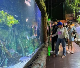 พลเรือเอก พงษ์เทพ หนูเทพ องคมนตรี ประธานกรรมการบริหาร ... พารามิเตอร์รูปภาพ 25