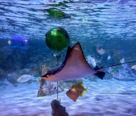 พลเรือเอก พงษ์เทพ หนูเทพ องคมนตรี ประธานกรรมการบริหาร ... พารามิเตอร์รูปภาพ 27