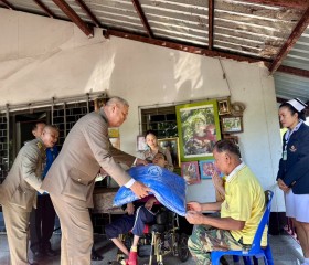 พระบาทสมเด็จพระเจ้าอยู่หัว ... พารามิเตอร์รูปภาพ 15