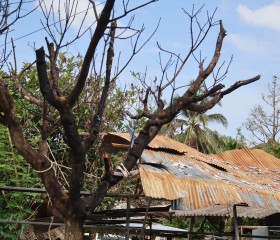 ว่าที่ร้อยตรี ตระกูล โทธรรม ผู้ว่าราชการจังหวัดนราธิวาส ... พารามิเตอร์รูปภาพ 7