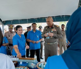 พลเรือเอก พงษ์เทพ หนูเทพ องคมนตรี ประธานกรรมการบริหาร ... พารามิเตอร์รูปภาพ 3