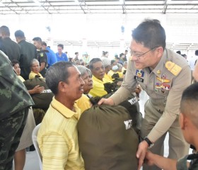พระบาทสมเด็จพระเจ้าอยู่หัว ... พารามิเตอร์รูปภาพ 8