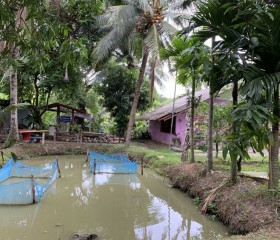พลเรือเอก พงษ์เทพ หนูเทพ องคมนตรี ... พารามิเตอร์รูปภาพ 16