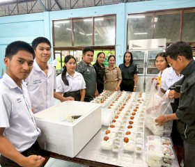 มูลนิธิราชประชานุเคราะห์ฯ ... พารามิเตอร์รูปภาพ 16