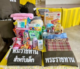 พระบาทสมเด็จพระเจ้าอยู่หัว ทรงพระกรุณาโปรดเกล้าฯ ให้ พลเอก ... พารามิเตอร์รูปภาพ 19