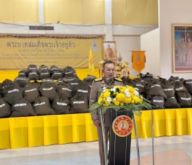 พระบาทสมเด็จพระเจ้าอยู่หัว ทรงพระกรุณาโปรดเกล้าฯ ให้ พลเอก ... พารามิเตอร์รูปภาพ 11