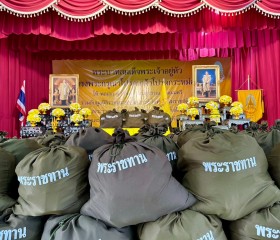 พระบาทสมเด็จพระเจ้าอยู่หัว ทรงพระกรุณาโปรดเกล้าฯ ให้ พลเอก ... พารามิเตอร์รูปภาพ 12