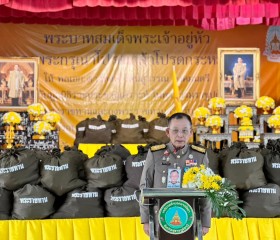 พระบาทสมเด็จพระเจ้าอยู่หัว ทรงพระกรุณาโปรดเกล้าฯ ให้ พลเอก ... พารามิเตอร์รูปภาพ 8