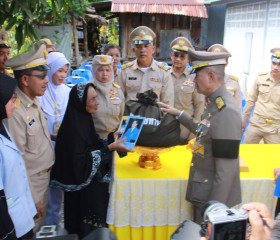 พระบาทสมเด็จพระเจ้าอยู่หัว ทรงพระกรุณาโปรดเกล้าฯ ให้ พลเอก ... พารามิเตอร์รูปภาพ 8