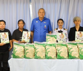 พลเรือเอก พงษ์เทพ หนูเทพ องคมนตรี ประธานกรรมการบริหาร ... พารามิเตอร์รูปภาพ 7