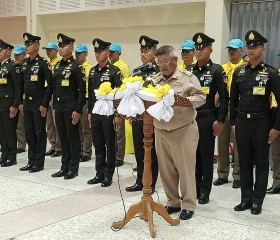 พระบาทสมเด็จพระเจ้าอยู่หัว ... พารามิเตอร์รูปภาพ 10