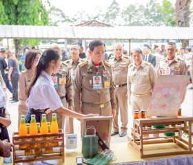 พระบาทสมเด็จพระเจ้าอยู่หัว ... พารามิเตอร์รูปภาพ 4