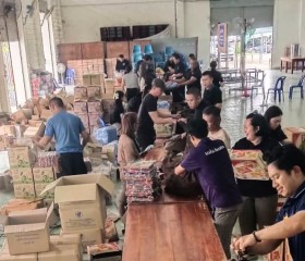 มูลนิธิราชประชานุเคราะห์ ในพระบรมราชูปถัมภ์ ... พารามิเตอร์รูปภาพ 2