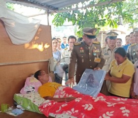 พระบาทสมเด็จพระเจ้าอยู่หัว ทรงพระกรุณาโปรดเกล้าโปรดกระหม่อม ... พารามิเตอร์รูปภาพ 13