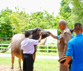 พลเรือเอก พงษ์เทพ หนูเทพ ... พารามิเตอร์รูปภาพ 16