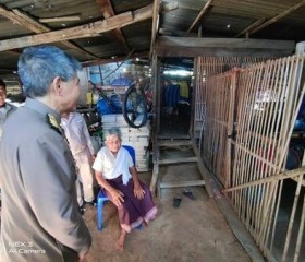 พระบาทสมเด็จพระเจ้าอยู่หัว ทรงพระกรุณาโปรดเกล้าโปรดกระหม่อม ... พารามิเตอร์รูปภาพ 8