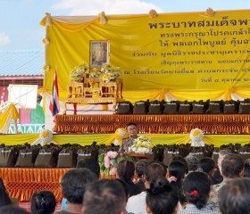 พระบาทสมเด็จพระเจ้าอยู่หัว ... พารามิเตอร์รูปภาพ 1