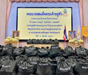 พระบาทสมเด็จพระเจ้าอยู่หัว ... พารามิเตอร์รูปภาพ 1