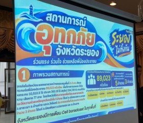 พระบาทสมเด็จพระเจ้าอยู่หัว ... พารามิเตอร์รูปภาพ 12