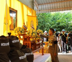 พระบาทสมเด็จพระเจ้าอยู่หัว ... พารามิเตอร์รูปภาพ 4
