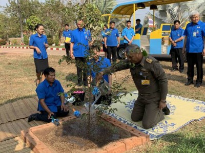 มูลนิธิราชประชานุเคราะห์ ... พารามิเตอร์รูปภาพ 1