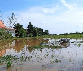 พลเอก กัมปนาท รุดดิษฐ์ องคมนตรี ... พารามิเตอร์รูปภาพ 9