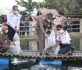 นายพลากร สุวรรณรัฐ องคมนตรี มอบถุงพระราชทานให้แก่ราษฎร ... พารามิเตอร์รูปภาพ 8