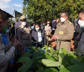 นายพลากร สุวรรณรัฐ องคมนตรี มอบถุงพระราชทานให้แก่ราษฎร ... พารามิเตอร์รูปภาพ 17