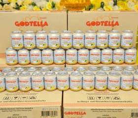 มูลนิธิราชประชานุเคราะห์ๆ รับมอบ GODTELLA ... พารามิเตอร์รูปภาพ 2