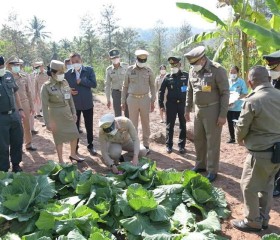 นายพลากร สุวรรณรัฐ องคมนตรี มอบถุงพระราชทานให้แก่ราษฎร ... พารามิเตอร์รูปภาพ 16