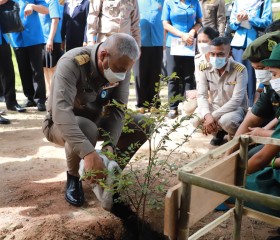 พลเรือเอก พงษ์เทพ หนูเทพ องคมนตรี ... พารามิเตอร์รูปภาพ 11