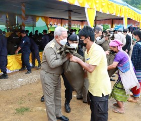 องคมนตรี เป็นประธานในพิธีมอบสิ่งของพระราชทาน ... พารามิเตอร์รูปภาพ 6