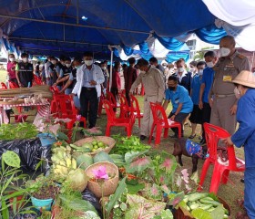 พลเรือเอก พงษ์เทพ หนูเทพ องคมนตรี ... พารามิเตอร์รูปภาพ 9