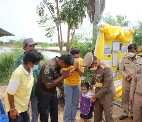 พระบาทสมเด็จพระเจ้าอยู่หัว ทรงพระกรุณาโปรดเกล้า ฯ ให้ พลเอก ... พารามิเตอร์รูปภาพ 5