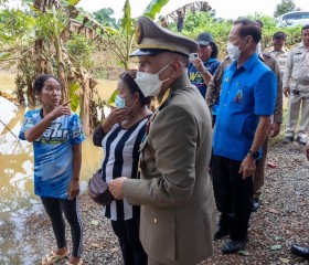 พระบาทสมเด็จพระเจ้าอยู่หัว ... พารามิเตอร์รูปภาพ 7