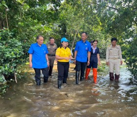 พระบาทสมเด็จพระเจ้าอยู่หัว ... พารามิเตอร์รูปภาพ 1