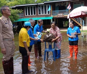 พระบาทสมเด็จพระเจ้าอยู่หัว ... พารามิเตอร์รูปภาพ 6